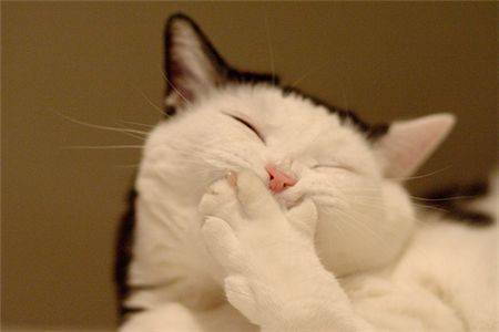 5 hilariously bad startup ideas