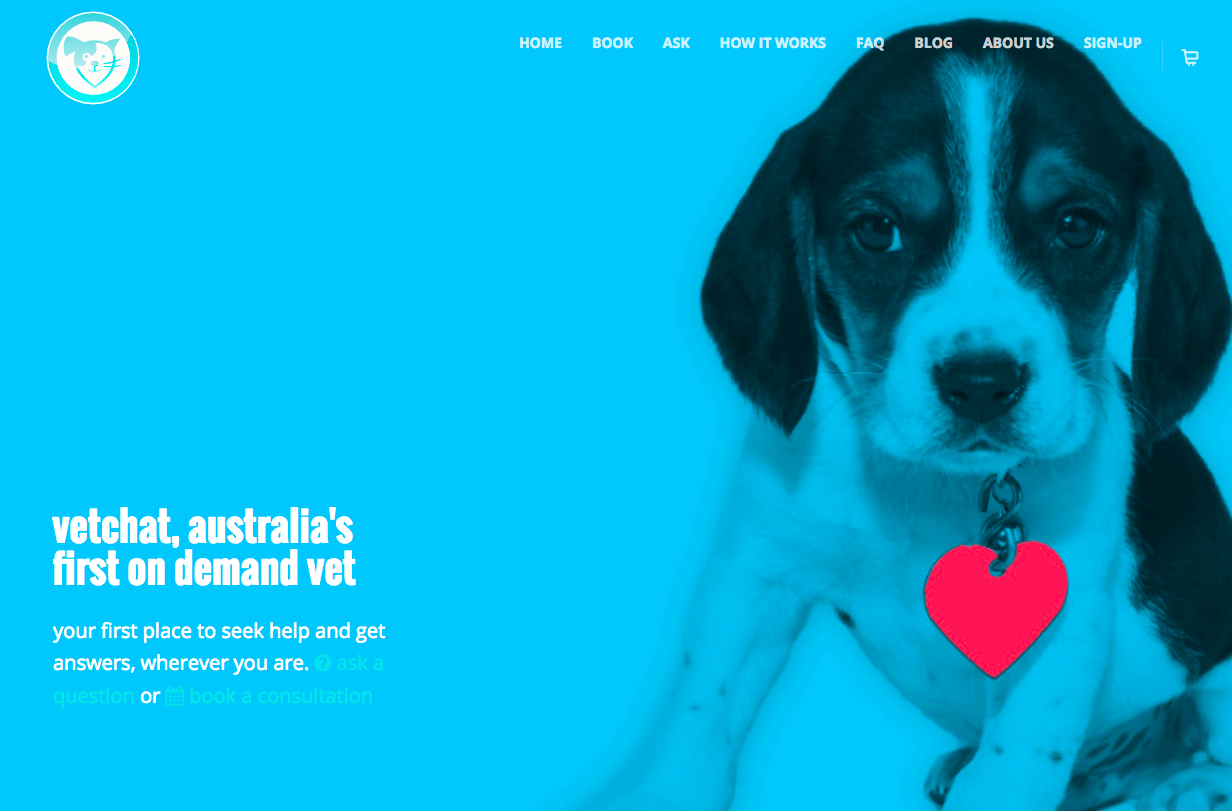 vetchat