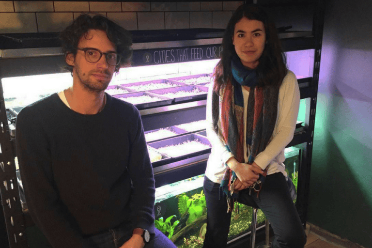 Melbourne startup Farmwall supplies vertical gardens to cafes and restaurants