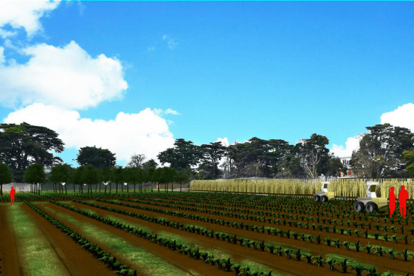 Monash