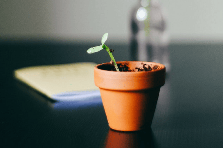 Growth marketing tactics to supercharge your startup in 2019