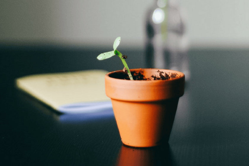 growth marketing
