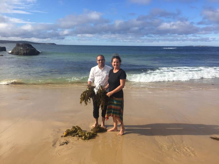 Startups invited to alga biotech accelerator – up to $20,000 seed funds offered