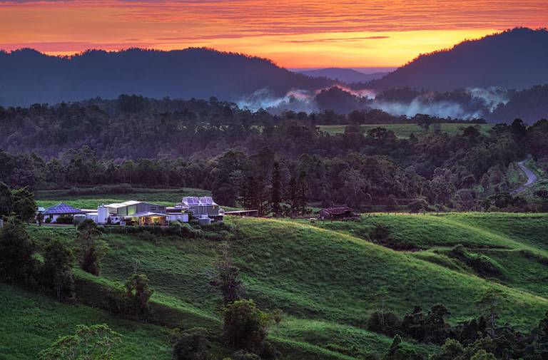 Here’s why one of Australia’s most unique dairy farms turned to crowdfunding to scale up