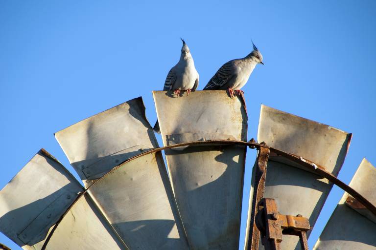 3 big trends in Australian tech