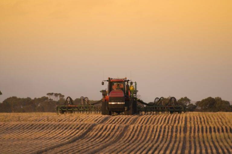Deep tech incubator Cicada Innovations is on the hunt for ideas to make grain growing more sustainable
