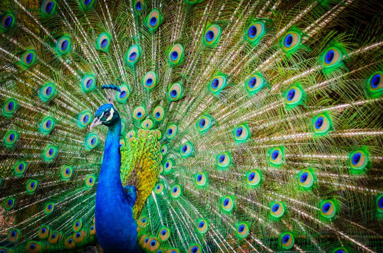 Building authentic credibility: An ethical guide for startups