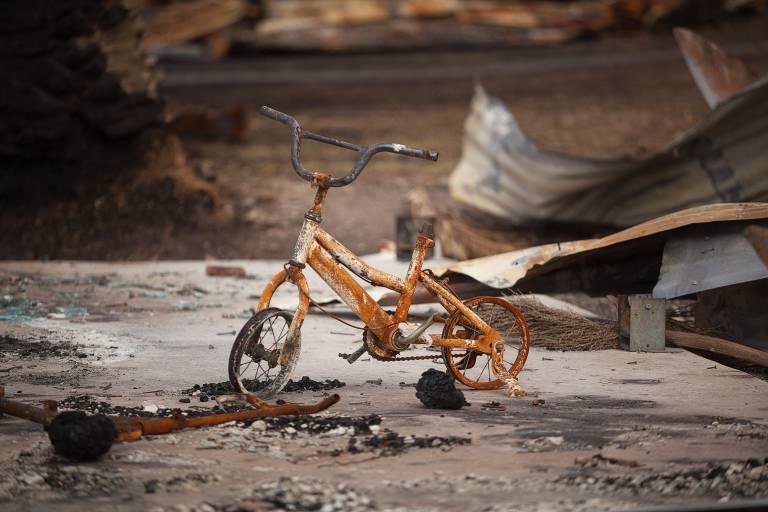 Mike Cannon-Brookes and some of the biggest names in Australian tech are backing Startmate’s new climate change program