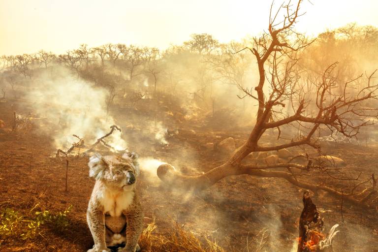 Here’s what you need to know about the worrying new IPCC report on climate change
