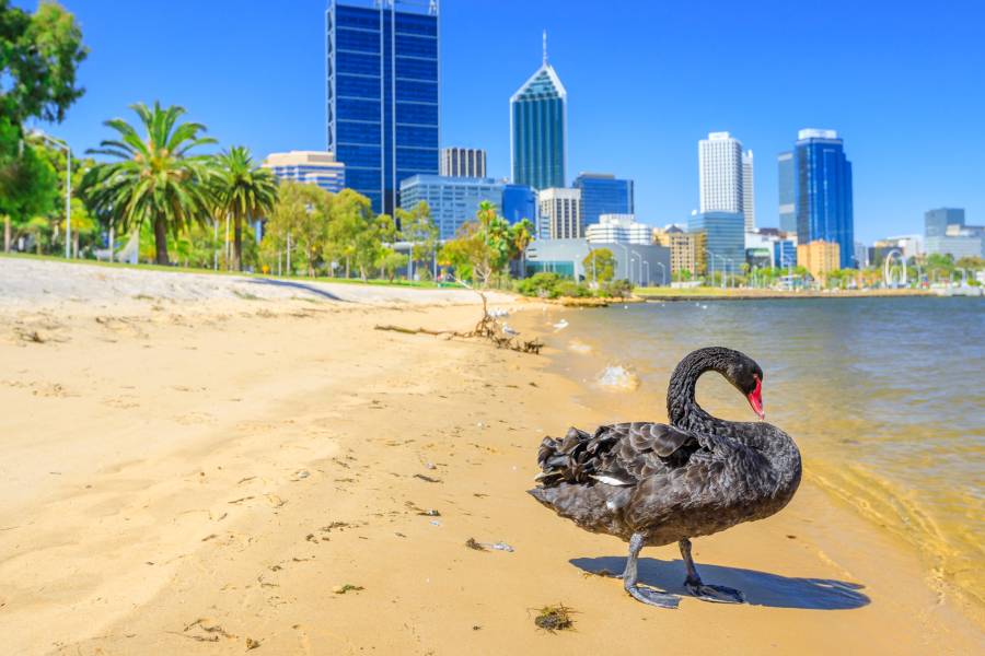 Curtin University reveals the 13 startups taking part in its annual accelerator