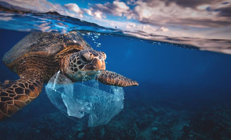 How blockchain will help make single-use plastics part of the recycling economy