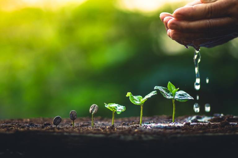 3 things Australian universities need from the Albanese government to commercialise research and help startups succeed
