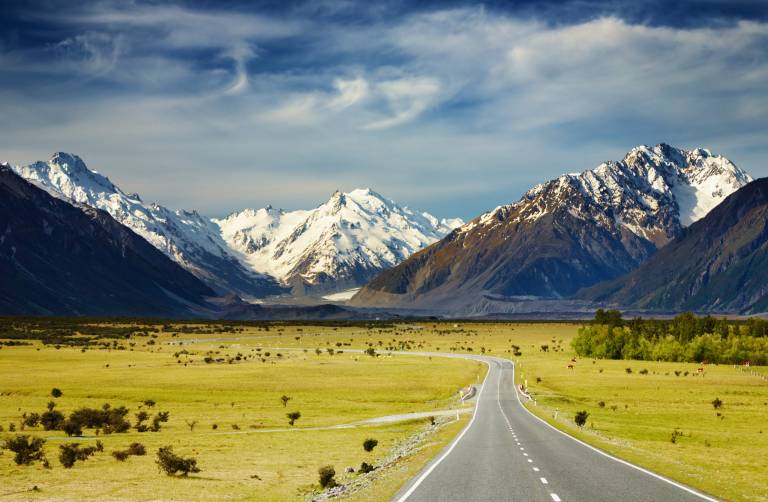 Ignition Lane's Weekly Wrap: New Zealand's investment boom, supermarketplace wars, Big Tech's top dog