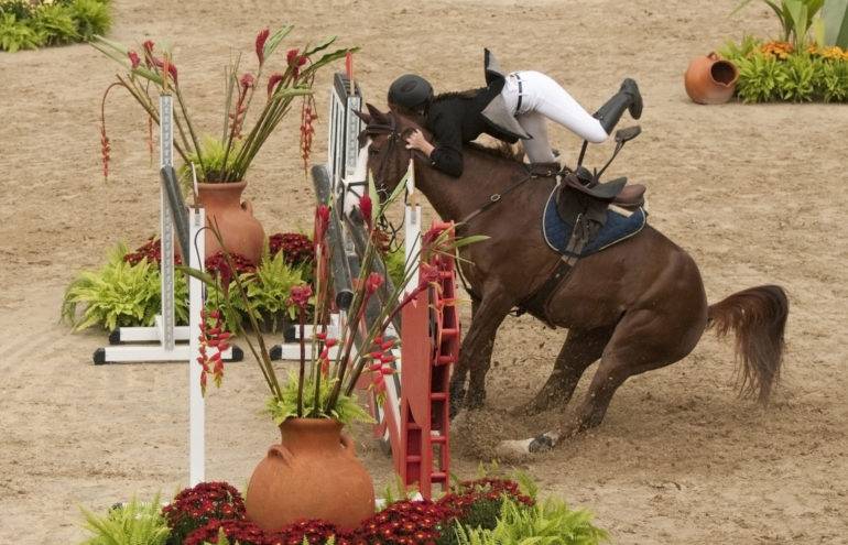 horse, fall, crash