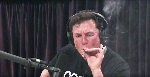 MUSK MIGHTS: X bans, rocket rides and cheaper Teslas – we asked Grok AI to predict the tech billionaire’s 2025 and here’s what it said