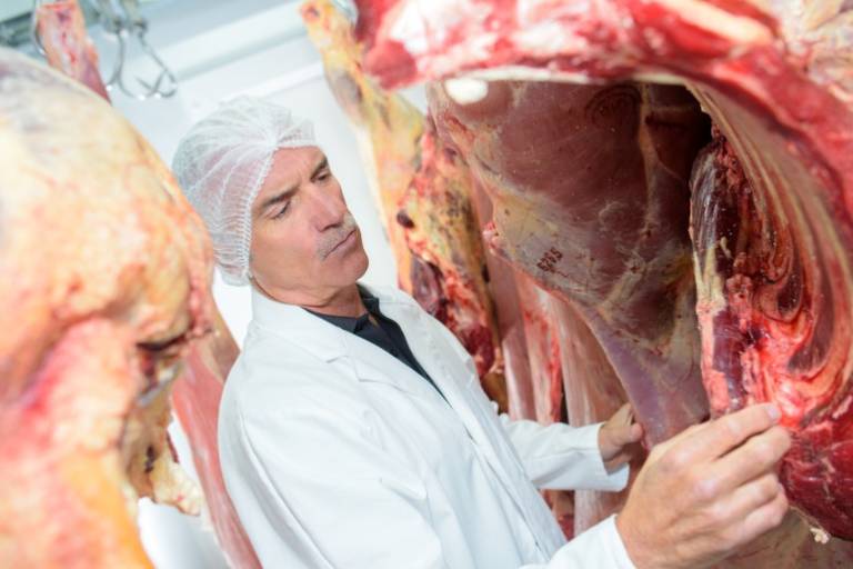 The meat processor behind Primo and Hans has closed 47 sites after a cyber attack took out its IT