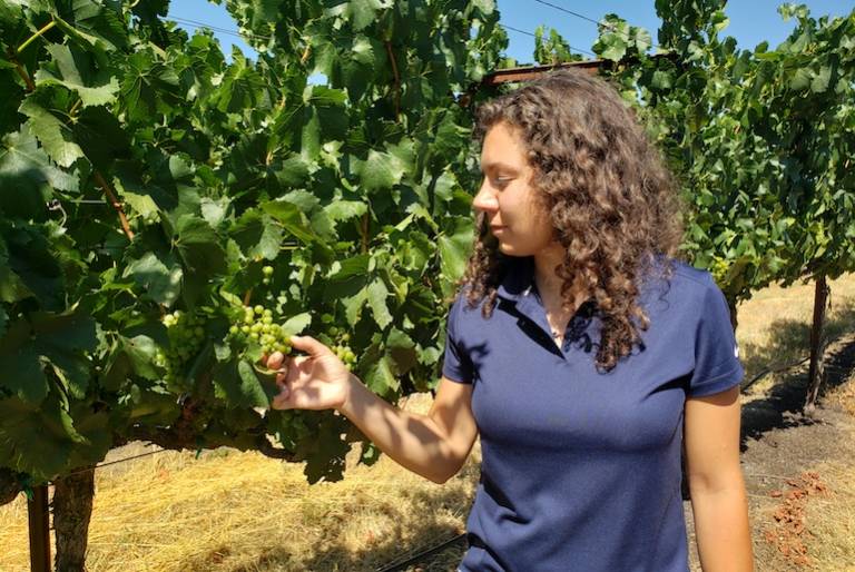 Carbon software agtech Regrow raises $23.5 million series A