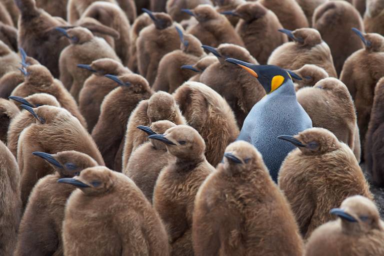 Innovation isn't enough: How Australian startups and scaleups miss the message on branding