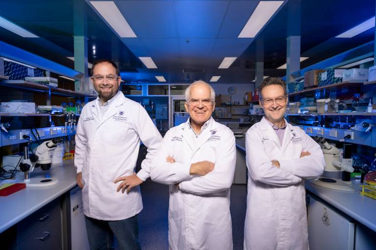 Biotech startup using funnel-web spider venom to treat heart attacks raises $23 million