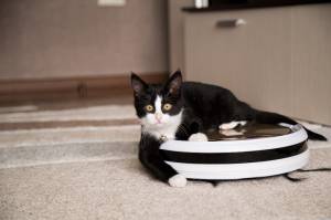 Amazon's $2.45 billion play for iRobot - and a map inside your home - raises privacy questions