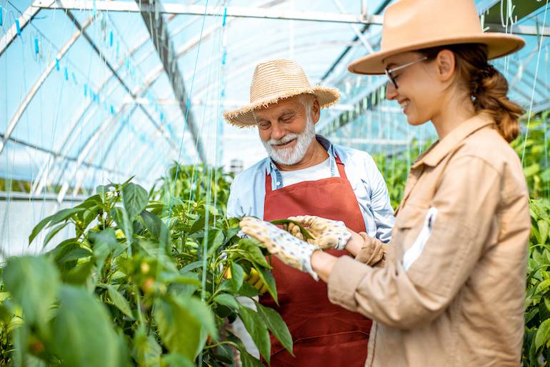 farming greenhouse