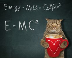 Coffee cat caffeine
