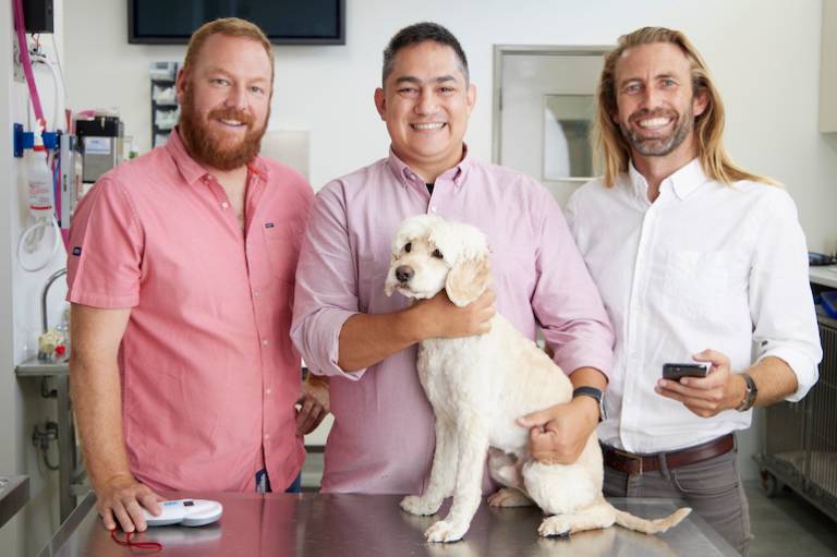 ‘My Health Record for pets’ startup Vedi scores $3 million treat to go global