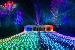 vivid Sydney