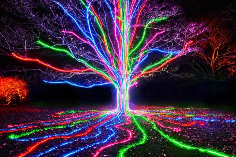 Vivid Sydney