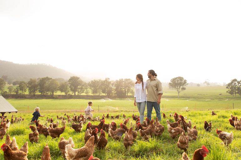 Bega Valley Eggs