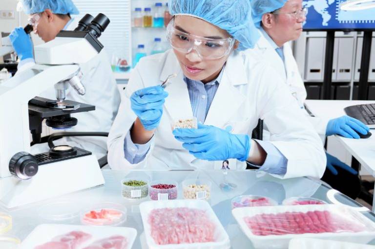 Italy is going to ban lab-grown meat – here’s why that’s a bad move for sustainability