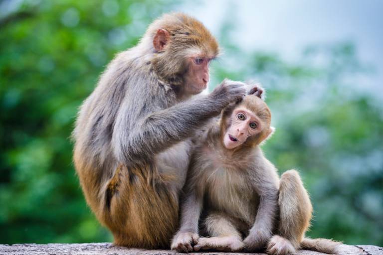 How to create a curious workplace culture in your startup