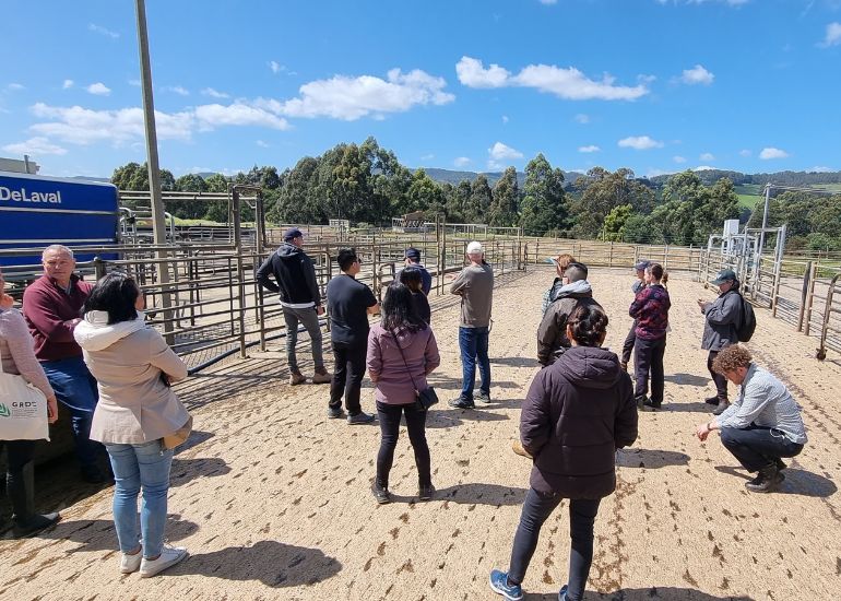 sproutx students on a farm learning about agriculture