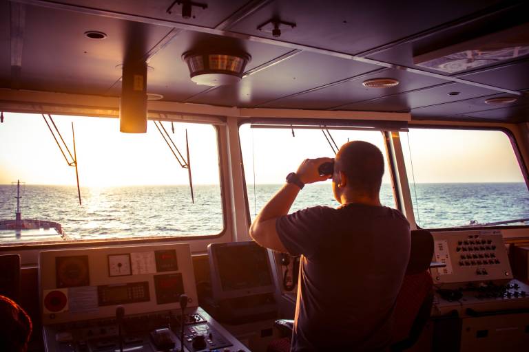 Australian startups are targeting overseas government contracts for growth – here’s what you need to know to succeed