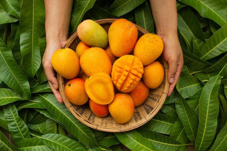 Mangoes basket