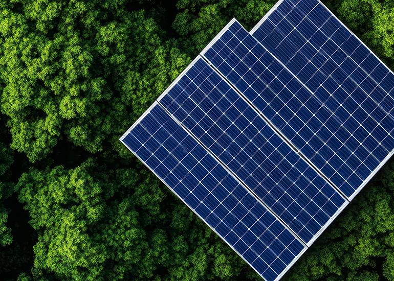 Solar panels on roof in forest