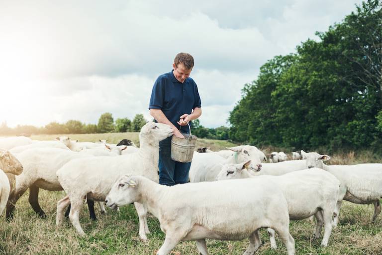 Why distribution is not the ‘secret sauce’ for agtech startups