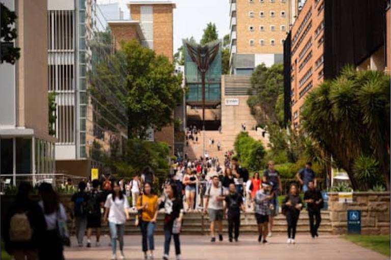 UNSW staff are getting ChatGPT in a major deal with OpenAI