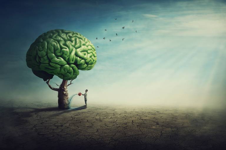 Why it takes a village to have an impact on our brain health